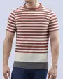 Camiseta cuello redondo diseño slim fit manga corta multicolor